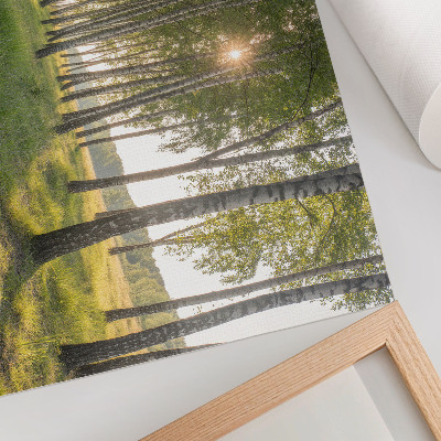 Poster Birkenwald, Sonnenstrahlen, Symmetrie, Grün