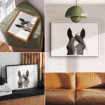 Poster kunstdruck Schwarz-Weiß-Fotografie von Pferdeeleganz