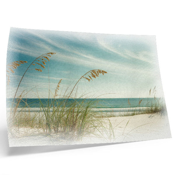 Poster kunstdruck Strandgras, Ozean, Himmel, Frieden