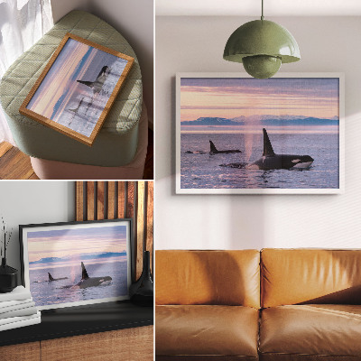 Kunstdruck poster Schwertwale vor einer pastellfarbenen Meereslandschaft