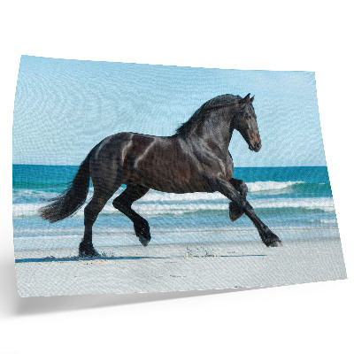 Poster kunstdruck Galoppierendes Pferd, Küste, blauer Himmel