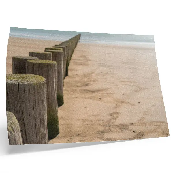 Poster mit Motiv Holzpflöcke am Meer in der Natur
