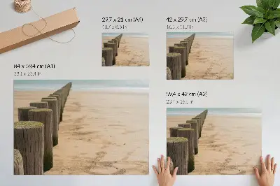 Poster mit Motiv Holzpflöcke am Meer in der Natur