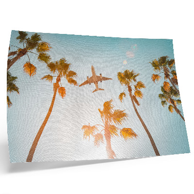 Poster kunstdruck Flugzeug, Palmen, blauer Himmel, tropisches Klima