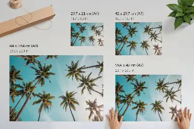 Kunstdruck Palmen palmen vor blauem Hintergrund mit friedlicher Naturatmosphäre
