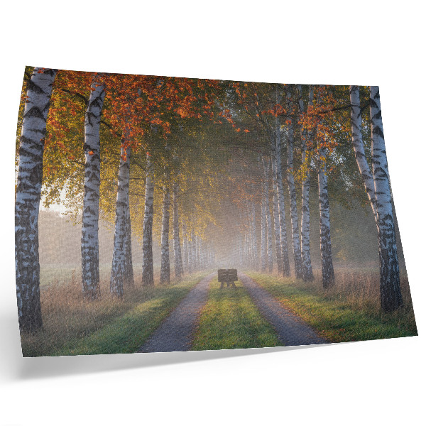 Poster kunstdruck Symmetrische Birken, nebliges Licht, Herbstallee