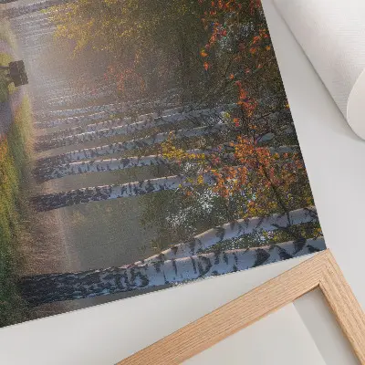 Kunstdruck symmetrische Birken in einer herbstlichen Allee bei nebligem Licht