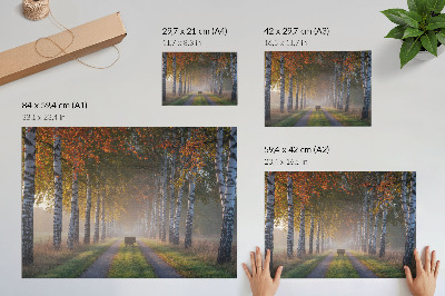 Poster kunstdruck Symmetrische Birken, nebliges Licht, Herbstallee