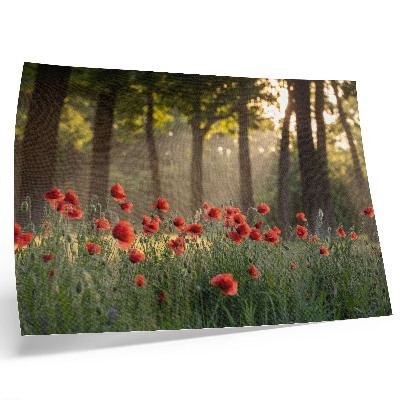 Kunstdruck poster Rote Mohnblumen, grüner Wald, Sonnenstrahlen