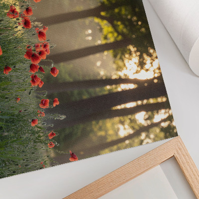 Kunstdruck poster Rote Mohnblumen, grüner Wald, Sonnenstrahlen