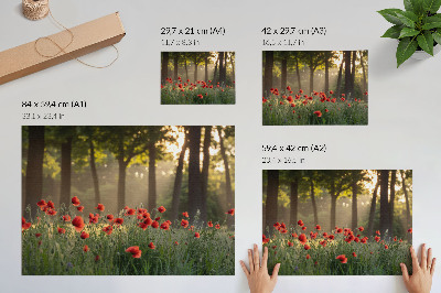 Kunstdruck poster Rote Mohnblumen, grüner Wald, Sonnenstrahlen