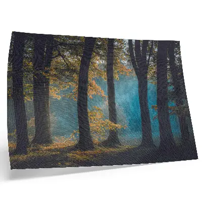 Poster Kunstdruck stiller Wald mit Morgensonne und bunten Blättern