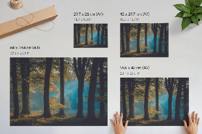 Poster kunstdruck Stiller Wald, Morgensonne, bunte Blätter