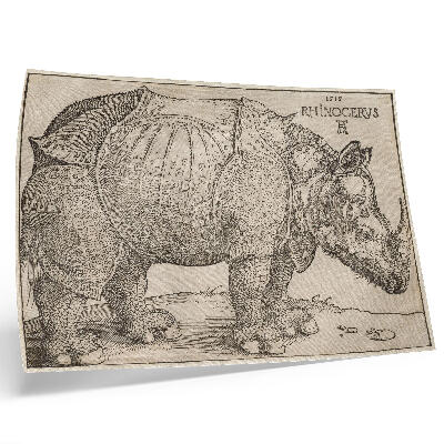 Poster kunstdruck Nashorn (1515) von Albrecht Dürer