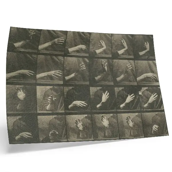 Poster Tierische Fortbewegung, Tafel 535 von Eadweard Muybridge aus dem Jahr 1887