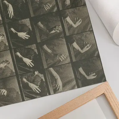 Poster Tierische Fortbewegung, Tafel 535 von Eadweard Muybridge aus dem Jahr 1887
