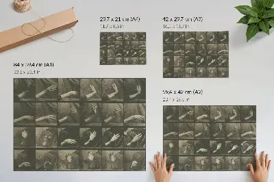 Poster Tierische Fortbewegung, Tafel 535 von Eadweard Muybridge aus dem Jahr 1887