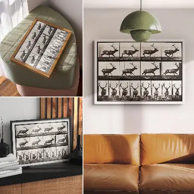 Kunstdruck Poster Tierische Fortbewegung, Tafel Nr. 695 aus dem Jahr 1887, Fotografie von Eadweard Muybridge