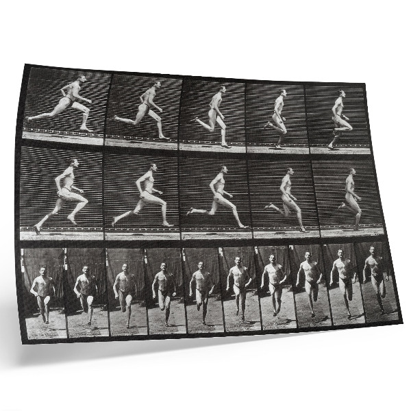 Kunstdruck poster Tafel 60 aus „Tierische Fortbewegung“ (1887), fotografiert von Eadweard Muybridge