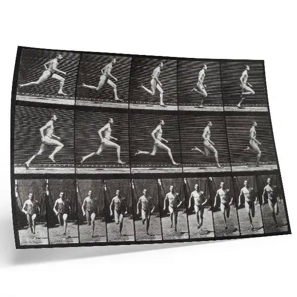 Kunstdruck Tafel 60 aus „Tierische Fortbewegung“ von 1887 fotografiert von Eadweard Muybridge