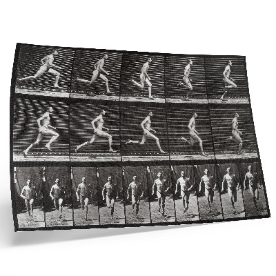Kunstdruck poster Tafel 60 aus „Tierische Fortbewegung“ (1887), fotografiert von Eadweard Muybridge