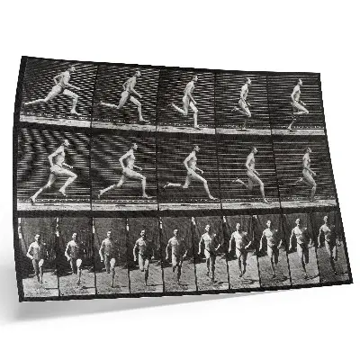 Kunstdruck Tafel 60 aus „Tierische Fortbewegung“ von 1887 fotografiert von Eadweard Muybridge