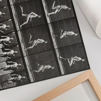 Kunstdruck Tafel 60 aus „Tierische Fortbewegung“ von 1887 fotografiert von Eadweard Muybridge