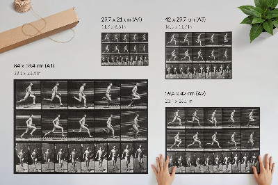 Kunstdruck poster Tafel 60 aus „Tierische Fortbewegung“ (1887), fotografiert von Eadweard Muybridge