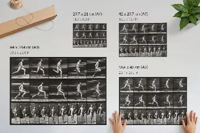 Kunstdruck Tafel 60 aus „Tierische Fortbewegung“ von 1887 fotografiert von Eadweard Muybridge
