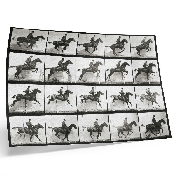 Poster Tierische Fortbewegung, Tafel 640 (1887), Reiten, fotografiert von Eadweard Muybridge