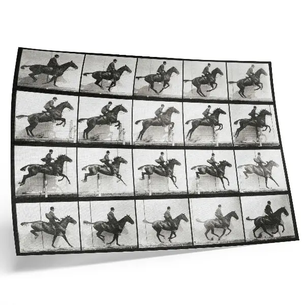 Poster Tierische Fortbewegung, Tafel 640 (1887), Reiten von Eadweard Muybridge