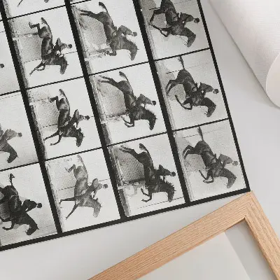 Poster Tierische Fortbewegung, Tafel 640 (1887), Reiten von Eadweard Muybridge