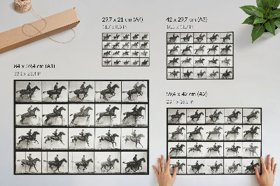 Poster Tierische Fortbewegung, Tafel 640 (1887), Reiten, fotografiert von Eadweard Muybridge