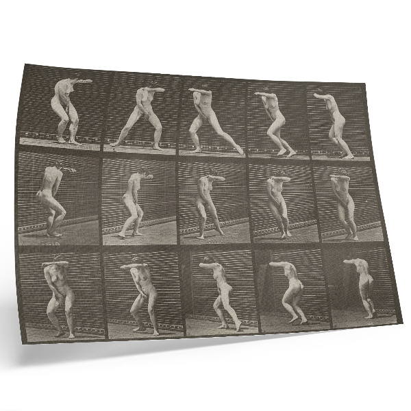 Poster kunstdruck Tellernummer 73. Überraschende Wendung und Flucht (1887) von Eadweard Muybridge