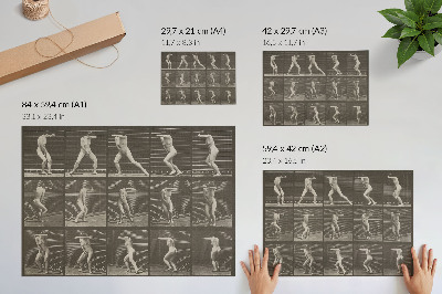 Poster kunstdruck Tellernummer 73. Überraschende Wendung und Flucht (1887) von Eadweard Muybridge