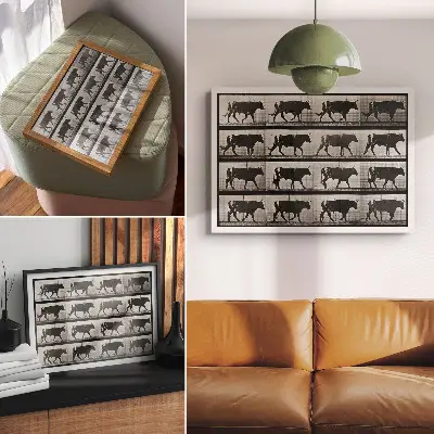 Kunstdruck Poster ein marschierender Stier nach Eadweard Muybridge aus dem Jahr 1887