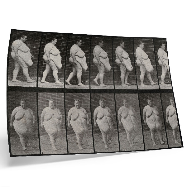 Poster kunstdruck Übergewichtige Frau beim Gehen. Fototyp nach Eadweard Muybridge, 1887