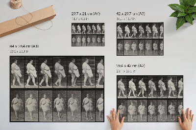 Poster kunstdruck Übergewichtige Frau beim Gehen. Fototyp nach Eadweard Muybridge, 1887
