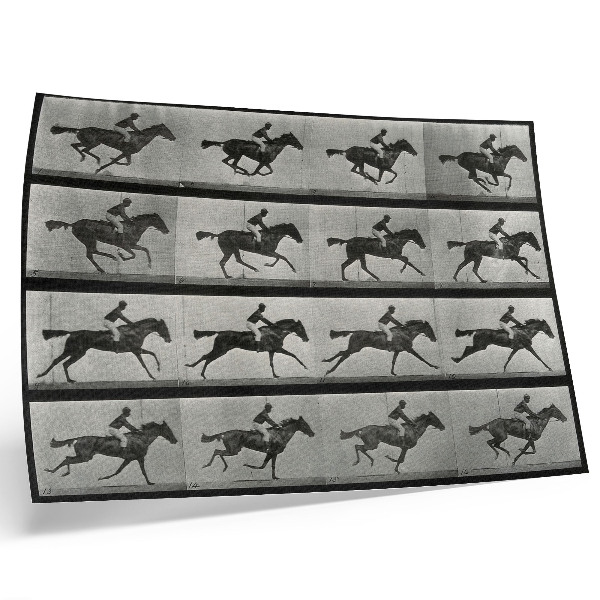 Kunstdruck poster Galoppierendes Pferd mit Reiter. Fototyp nach Eadweard Muybridge, 1887