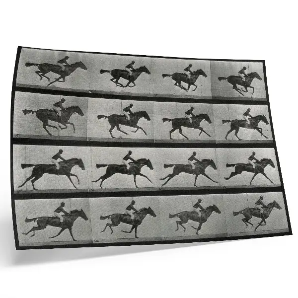 Kunstdruck Poster Galoppierendes Pferd mit Reiter nach einer Fotografie von Eadweard Muybridge aus dem Jahr 1887