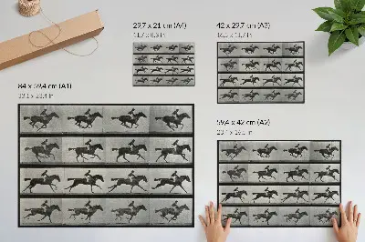 Kunstdruck Poster Galoppierendes Pferd mit Reiter nach einer Fotografie von Eadweard Muybridge aus dem Jahr 1887