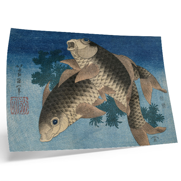 Poster kunstdruck Karpfen schwimmt zwischen Algen (1831) – Japanische Illustration eines Fisches