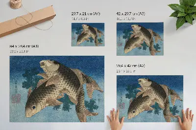 Poster Kunstdruck Karpfen schwimmt zwischen Algen aus dem Jahr 1831 als japanische Fischillustration