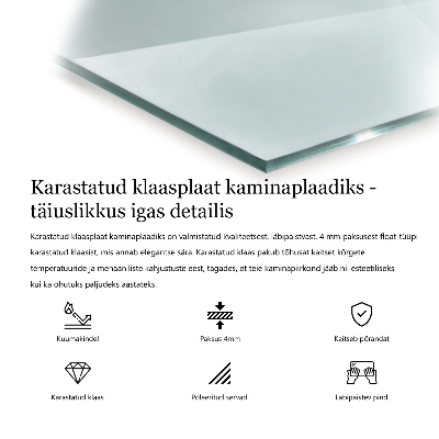 Kaminmatte transparentna