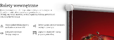 Rollo Fenster in roter Apfelfarbe