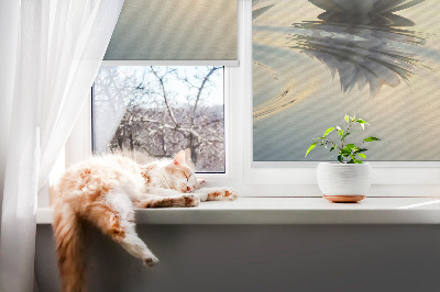 Rollo Fenster von Seerosen