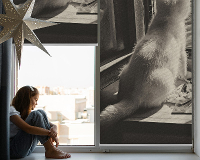 Rollo Fenster mit Katzenmotiv