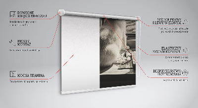 Rollo Fenster mit Katzenmotiv