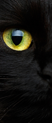 Fensterrollo mit Katzenaugen-Muster