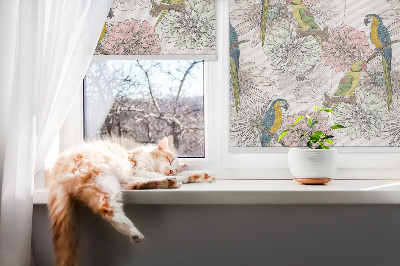 Rollo Fenster mit Papageien auf einem Ast